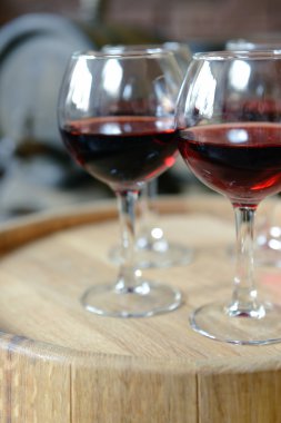 Bardak şarap mahzende