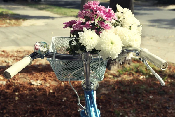 Cykel med blommor i korg — Stockfoto
