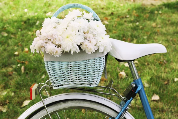 Cykel med blommor i korg — Stockfoto