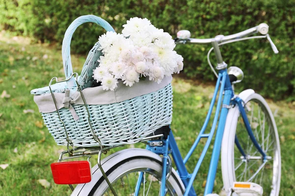 Kerékpár, virág kosár — Stock Fotó