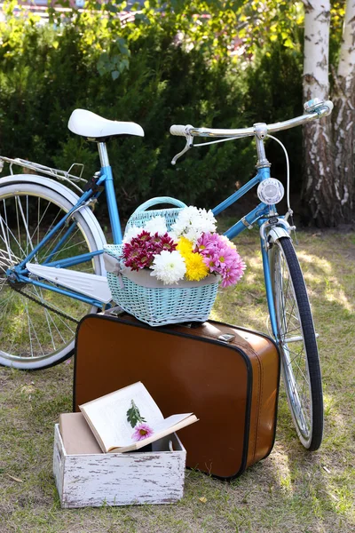 Bicicleta y maleta marrón —  Fotos de Stock