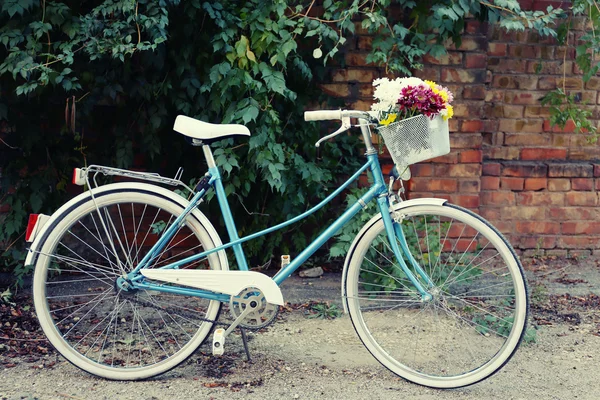 Gammal cykel med blommor — Stockfoto