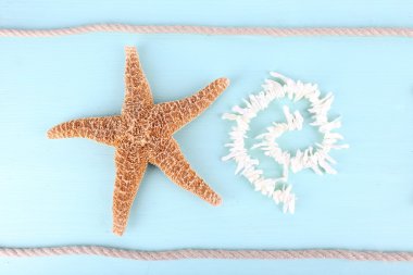 Deniz Hatıra Eşyası arka plan