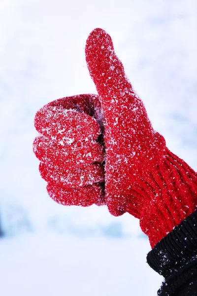 Woman's hand in red glove on winter natural background — Stock Photo, Image