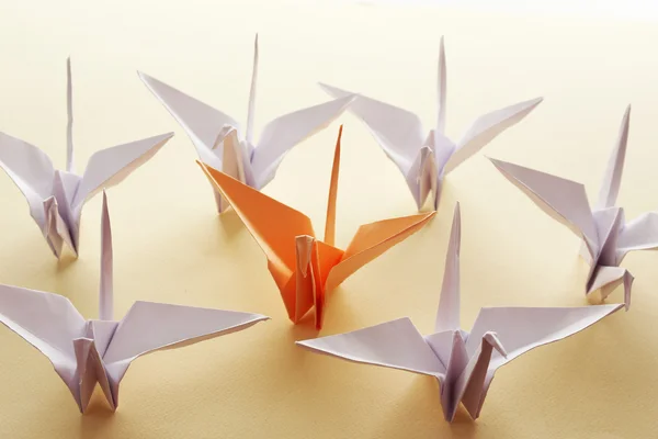 Origami uccelli su sfondo chiaro — Foto Stock