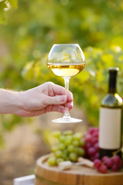 Bicchiere da vino in mano nella piantagione di uva — Foto Stock