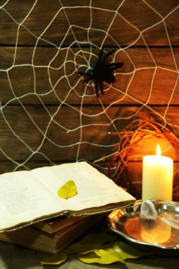 Örümcek ağı ile Halloween dekorasyon