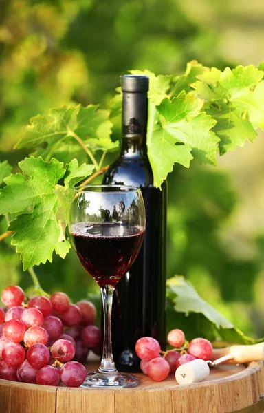 Sabroso vino en barrica de madera sobre fondo de plantación de uva — Foto de Stock