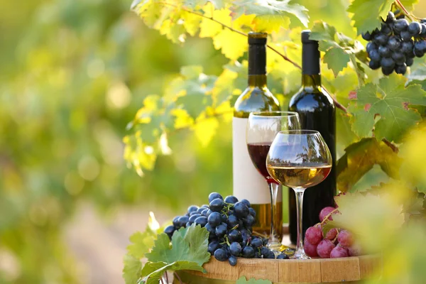 Tasty wine on wooden barrel on grape plantation background — Stock Photo, Image