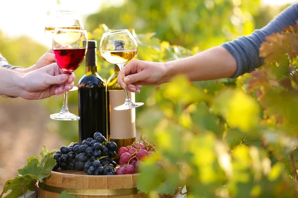 Wineglass in hand on grape plantation — Stock Photo, Image