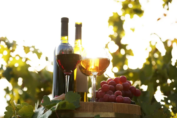 Tasty wine on wooden barrel on grape plantation background — Stock Photo, Image