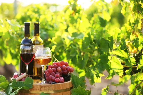 Wine bottle on wooden barrel — Stock Photo, Image