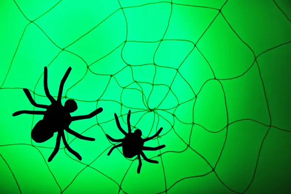 Spiders on Halloween web — Stock Photo, Image