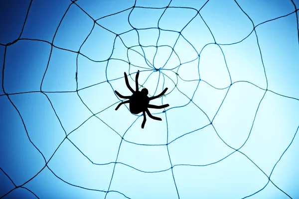 Spider sur la toile d'Halloween — Photo