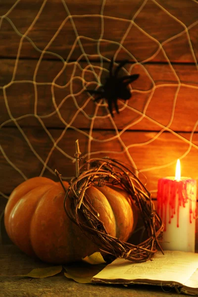 Decorazione Halloween con ragnatela — Foto Stock
