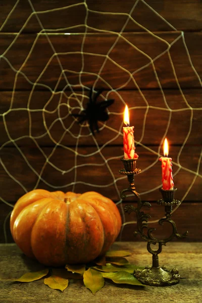 Halloween-Dekoration mit Spinnennetz — Stockfoto