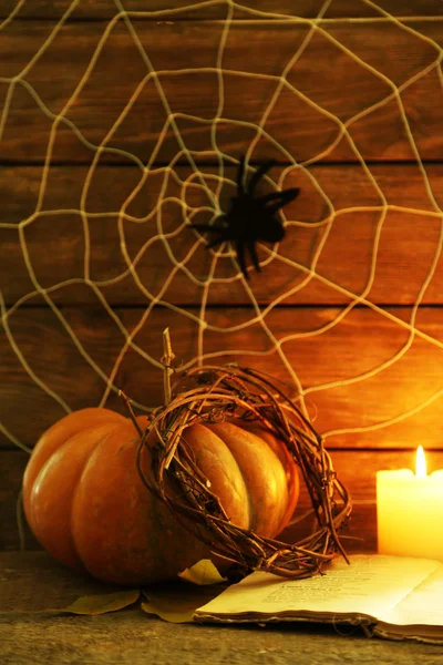 Halloween decoração com teia de aranha — Fotografia de Stock