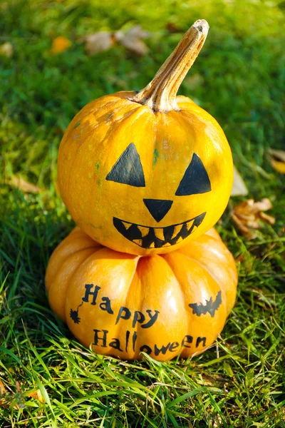 Halloween holiday pumpkins — Stock Photo, Image