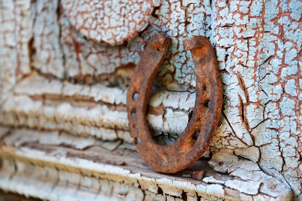 Sapato de cavalo velho — Fotografia de Stock