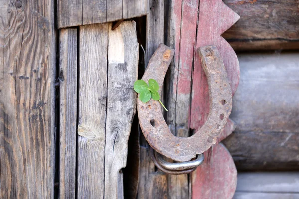 Vecchia scarpa cavallo — Foto Stock