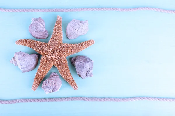 Recuerdos y conchas de mar — Foto de Stock