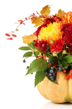 kabak üzerine beyaz izole güzel sonbahar kompozisyon