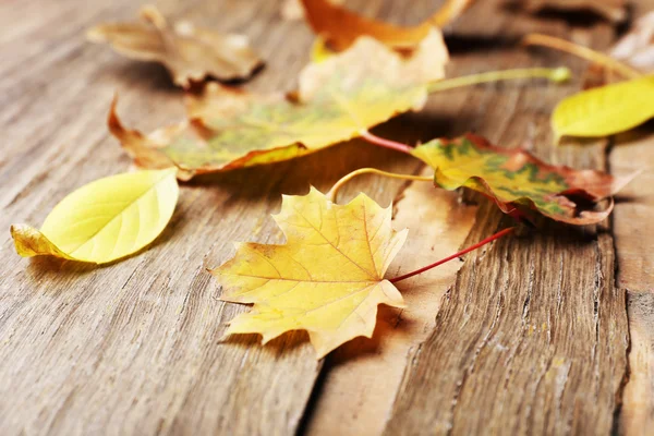 Mooie herfst bladeren op houten achtergrond — Stockfoto