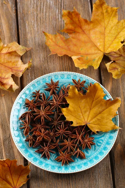 Stars anise on plate on wooden background — Stock Photo, Image