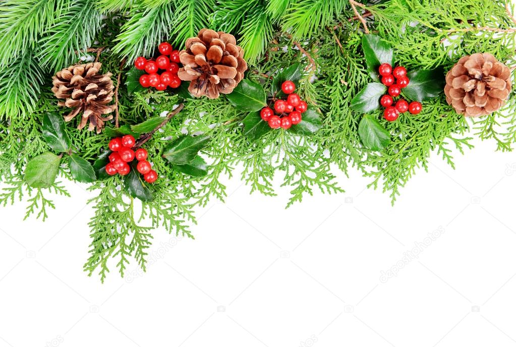 beautiful christmas border from fir and mistletoe on white mistletoe border