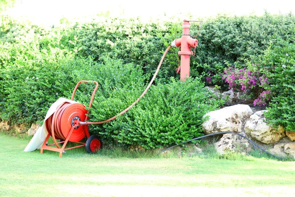 Vackra landskapsarkitektur i trädgården — Stockfoto