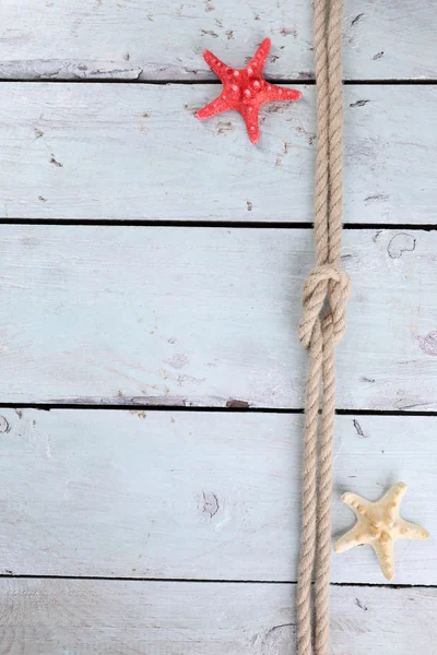 Nudo marino sobre fondo de madera — Foto de Stock