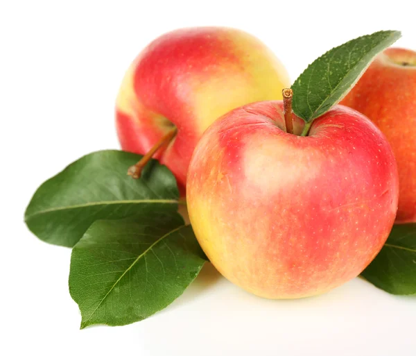 Спелые яблоки изолированы на белом — стоковое фото