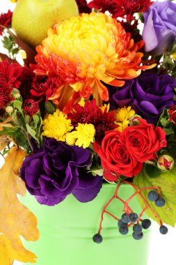 Kova güzel sonbahar kompozisyon yakın çekim