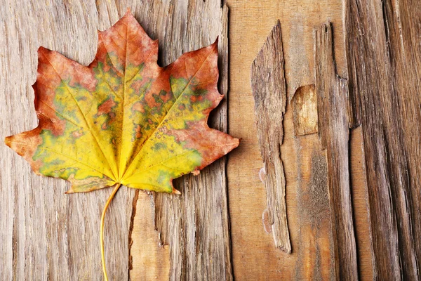 Belle feuille d'automne sur fond en bois — Photo