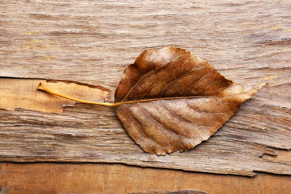 木製の背景に美しい秋の紅葉 — ストック写真