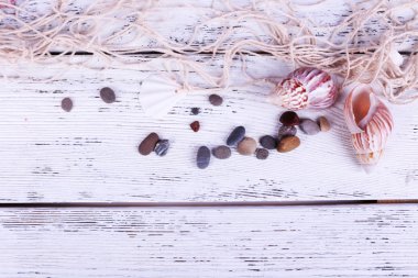 deniz kabuklarını yakın çekim mavi ahşap masa dekoru