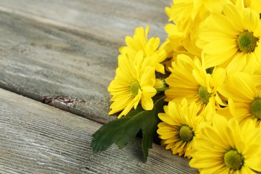 ahşap zemin üzerine sarı krizantem