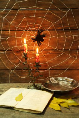 Cadılar Bayramı dekorasyon örümcek ile