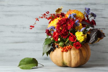 güzel sonbahar kompozisyon