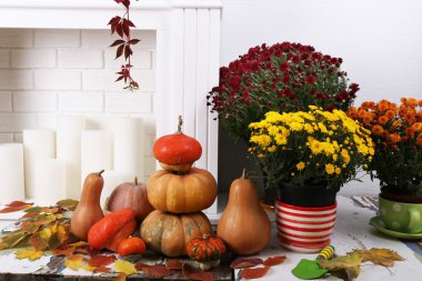 ürün yelpazesine kabaklar ve çiçekler