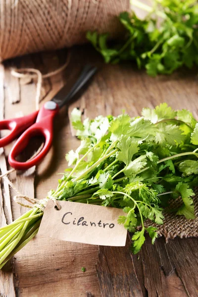 Cilantro on table close-up — Stock Photo, Image