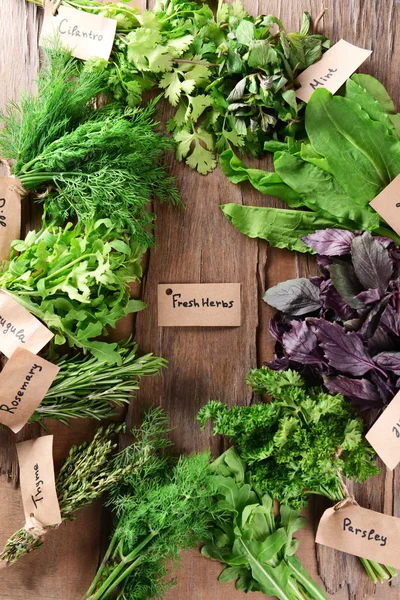 Different fresh herbs — Stock Photo, Image