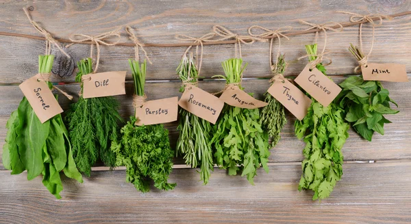 Different fresh herbs — Stock Photo, Image