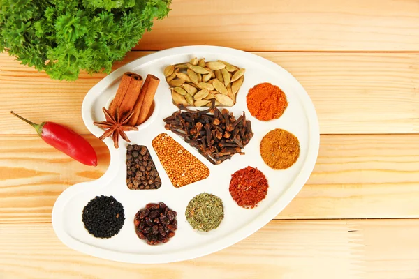 Painting palette with spices — Stock Photo, Image