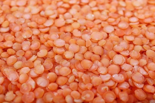 Lentil as background — Stock Photo, Image