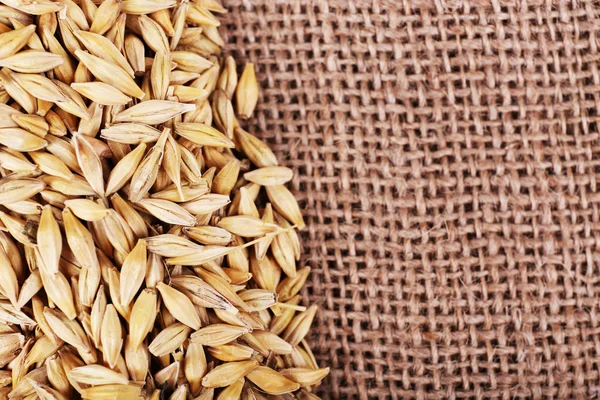 Oats on sackcloth background — Stock Photo, Image