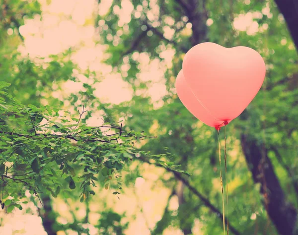 Love heart balloons, outdoors — Stock Photo, Image