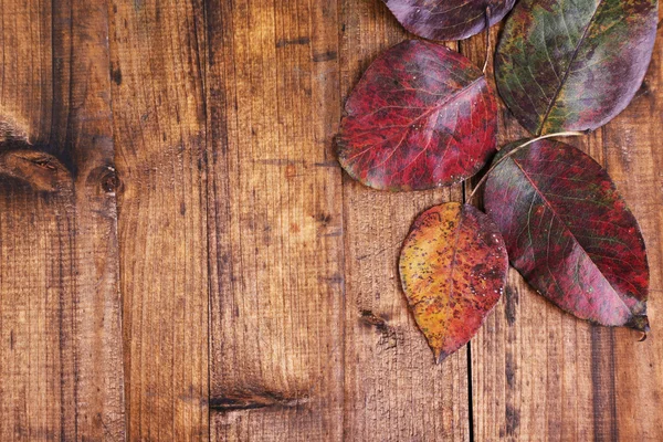 Leaves on brown wooden background — Stock Photo, Image
