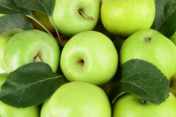 Manzanas verdes maduras de cerca — Foto de Stock