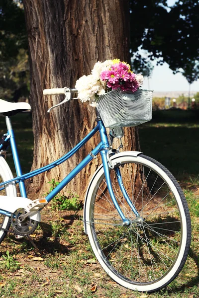 Vélo avec des fleurs dans le panier en métal sur le fond du parc — Photo